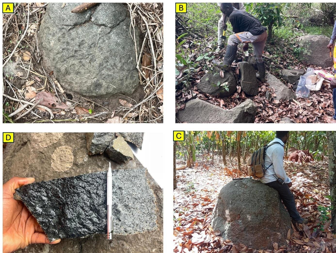 Plis d'entraînement géologiques dans les métavolcanites